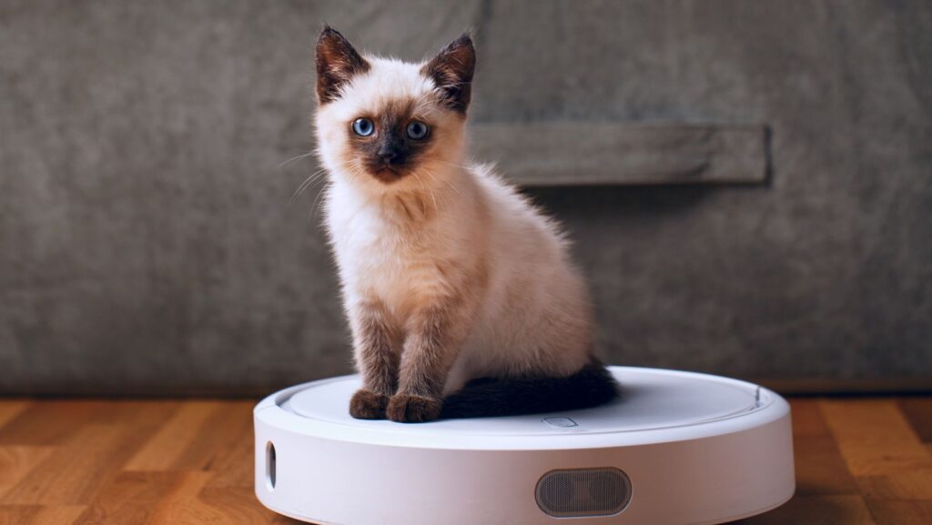 Can Robot Vacuums Handle Pet Hair? Find Out Now