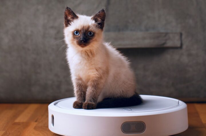 Can Robot Vacuums Handle Pet Hair? Find Out Now