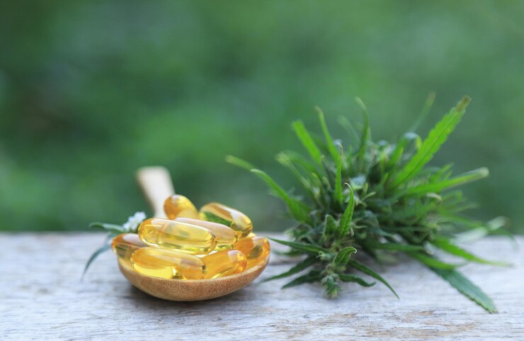 Why CBD Oil Capsules Are Revolutionizing Daily Health Routines