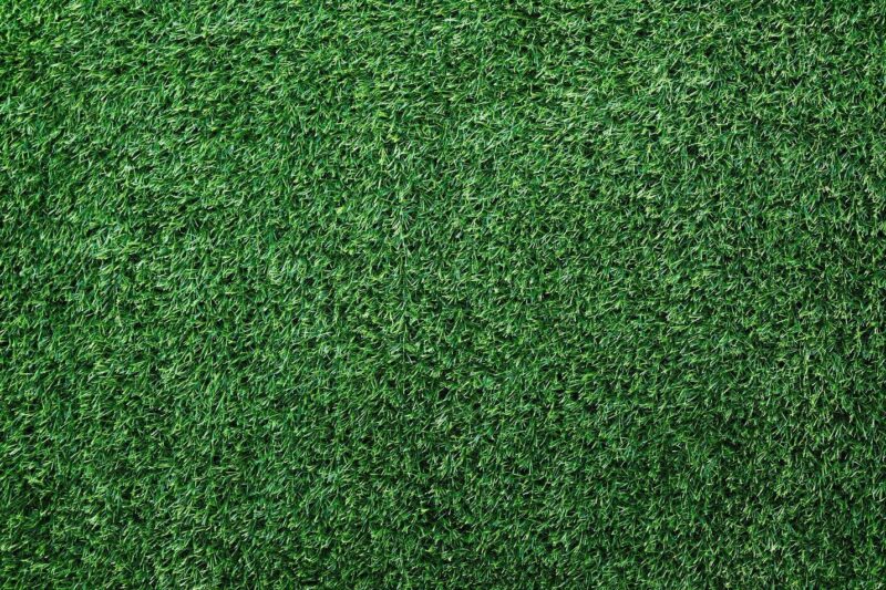 Why More Surrey Homeowners Are Replacing Natural Grass with Artificial Turf