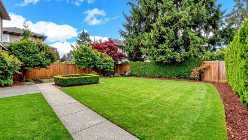 Creating a More Functional Backyard With Smart Landscape Design
